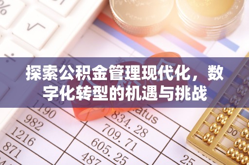 敦化探索公积金管理现代化，数字化转型的机遇与挑战