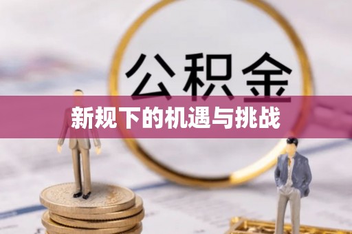 敦化新规下的机遇与挑战