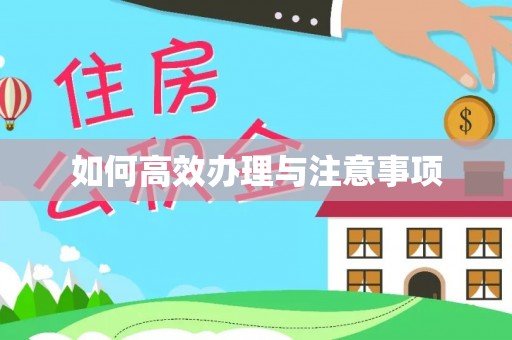 敦化如何高效办理与注意事项